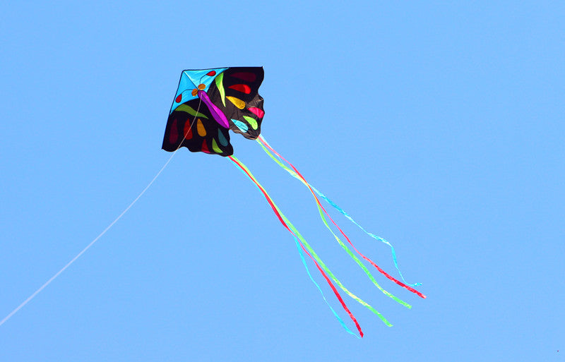 free shipping 5pcs butterfly kites for adults kites reel large kites factory cerf volant paragliding windsurf linha de pipa