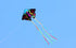 free shipping 5pcs butterfly kites for adults kites reel large kites factory cerf volant paragliding windsurf linha de pipa