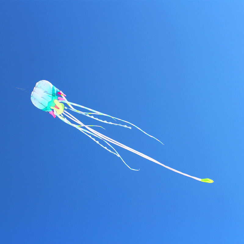 free shipping 18m jellyfish kite flying inflatable kite windsocks huge kite wheel for adults outdoor game trilobites kites pipa