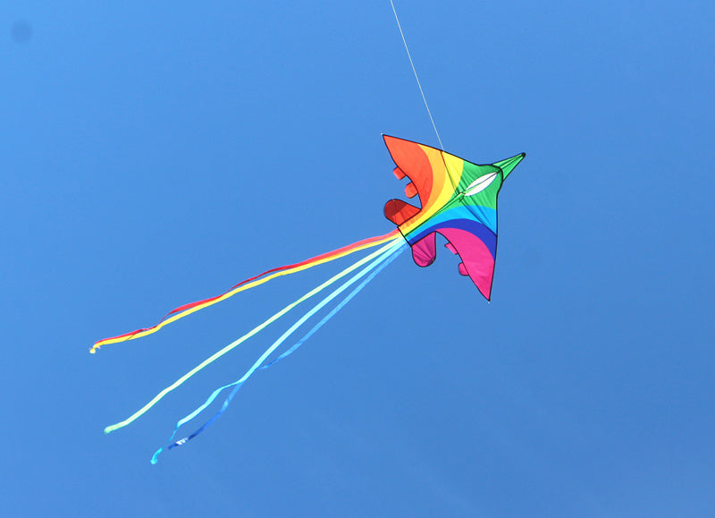 free shipping rainbow plane kites for children kites flying fighter kite line outdoor kites toys professional wind kite factory