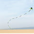 free shipping large delta kite toys outdoor fun flying kites for adults kite reel weifang kite factory eagle kites line ikite