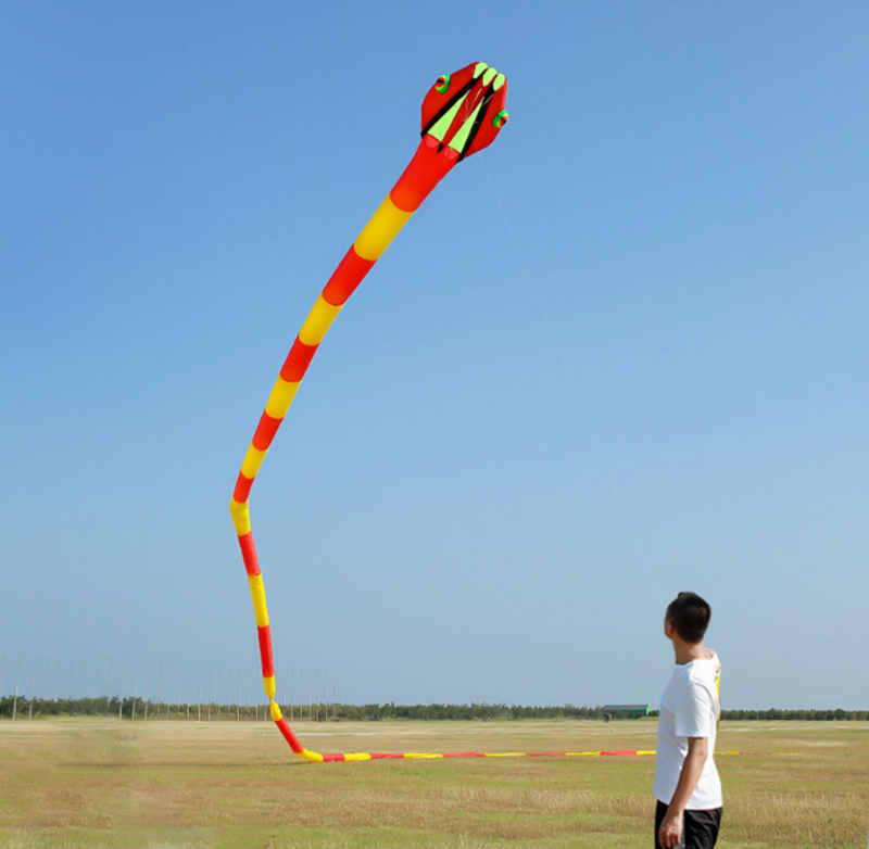 free shipping 3d kites flying snake kites for adults kites parachute inflatable kite dragon flight kite windsurfing professional