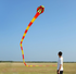 free shipping 3d kites flying snake kites for adults kites parachute inflatable kite dragon flight kite windsurfing professional