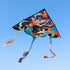 free shipping chinese traditioal kites flying for adults kites surf dragon kites line sport parachute outdoor play weather vane