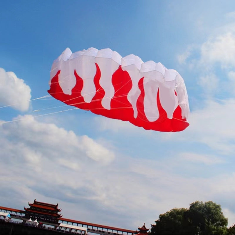 Free Shipping dual line stunt kites power kites flying for new beginner kite surf beach kites factory paragliding flying wing