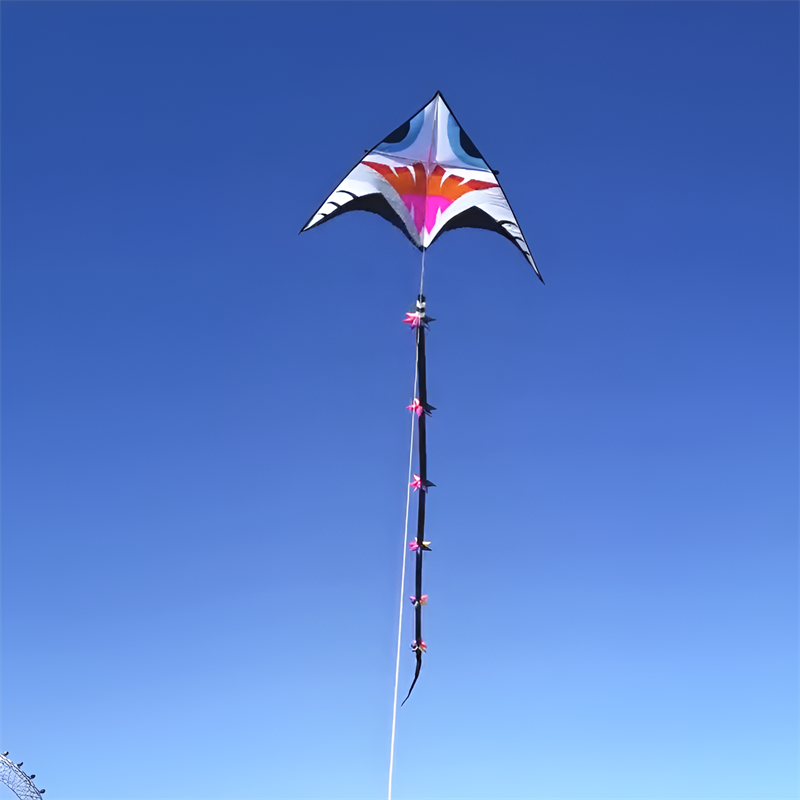 free shipping giant kites tails 3d kites windsocks kites flying for kids kites pendant octopus kites adults kites professional