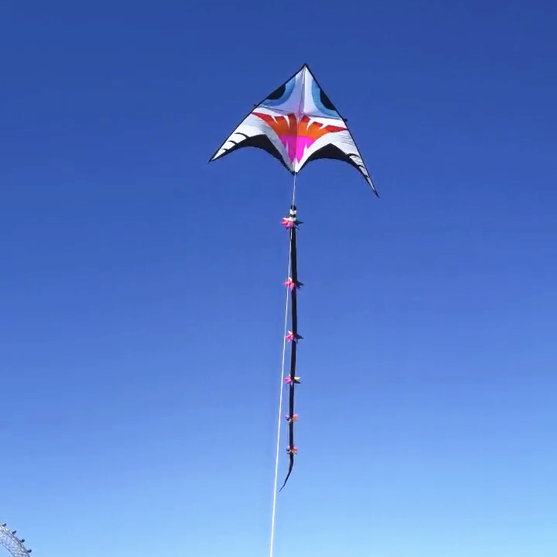 free shipping 18m giant kite tails 3d kites windsocks kites flying toys for children kite show kite professional wind kites