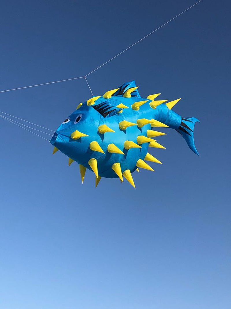 free shipping puffer fish kite pendant flying outdoor toys wind kites for adults kite reel voar pipe parachute windsurf Smoking