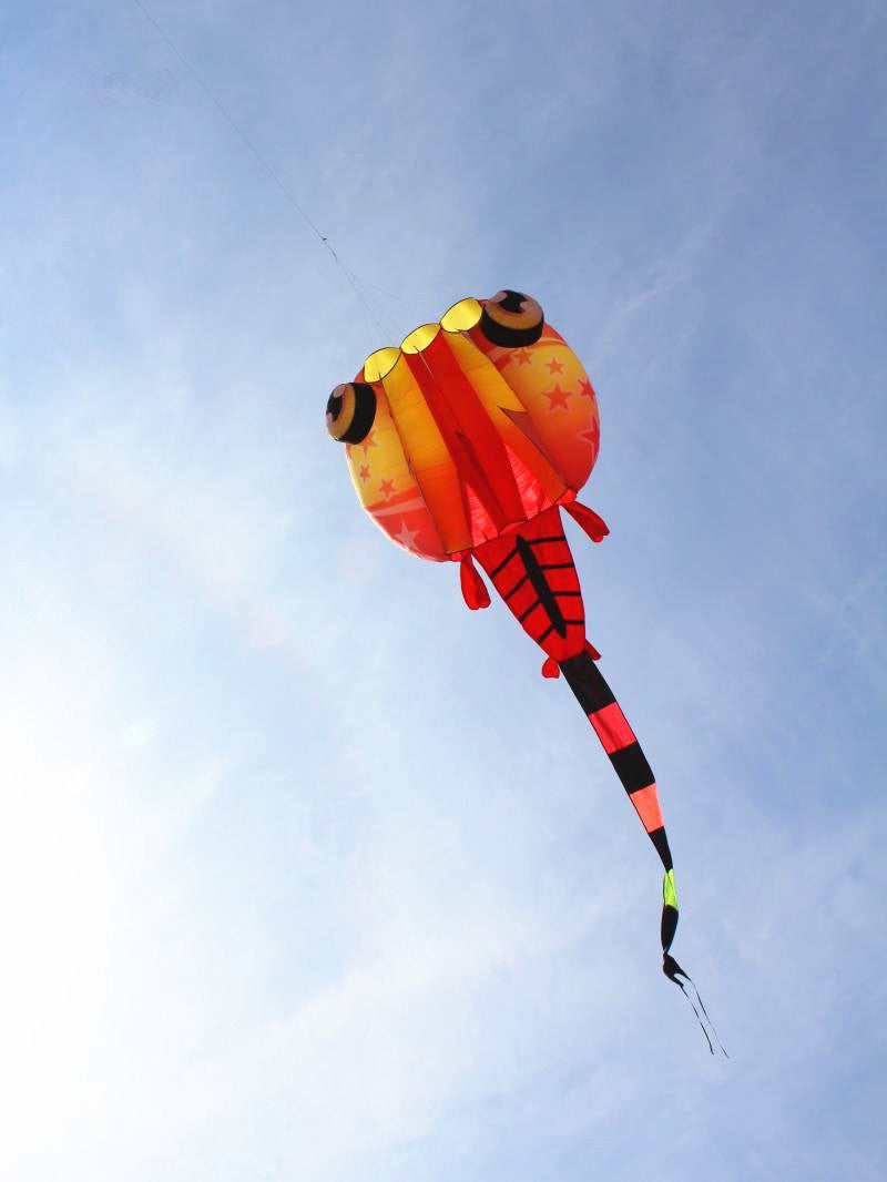 free shipping large tadpole kite for adults soft kites outdoor toys flying jellyfish trilobites kites factory parachute pointer