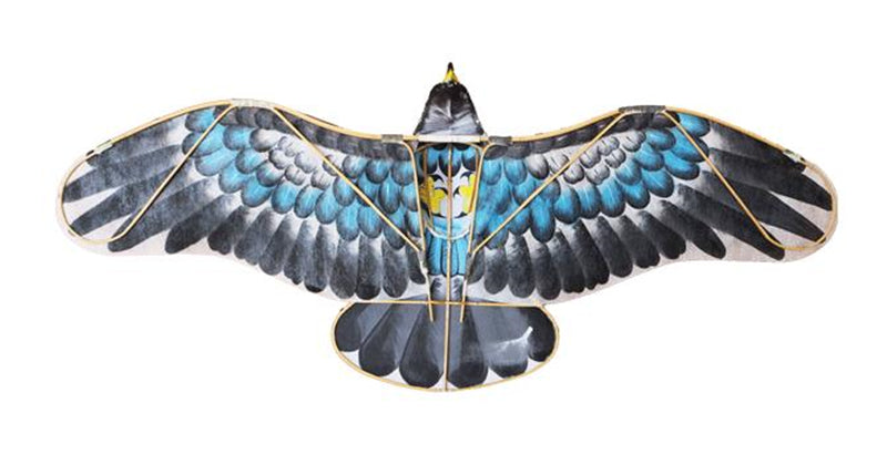 free shipping eagle kite flying bamboo kite for adults professional Paper kite voar pipe outdoor toys fluger wind pointer koi