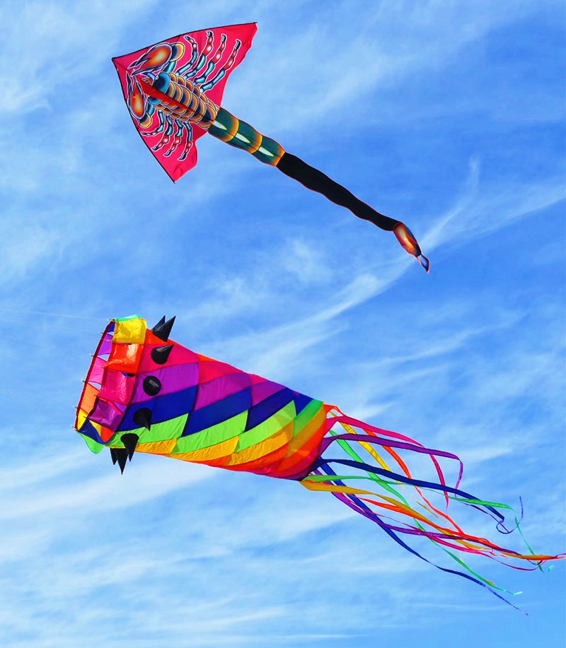 free shipping new kites windsocks 3d kites tails large kites for adults kites accessories soft kites outdoor toy Parachute kites