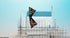 free shipping Mosaic pro quad line kite adults stunt kites parachute Freilein kite factory outdoor koi paraglider parapent