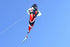 free shipping large fish kite for adults flying line outdoor toys 3d kite cartoon kite ripstop nylon fabric weifang kite factory
