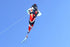 free shipping new fish kite flying for children kite string line toys for kids nylon kite parachute weifang kite factory ikite