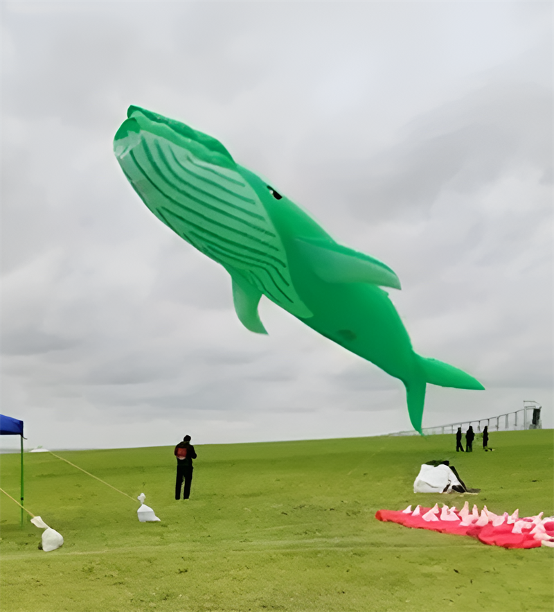 9m Pendant kite whale kite kites for adults outdoor toys Wind sock windsock inflatable kite street toys kite giant