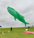 9m Pendant kite whale kite kites for adults outdoor toys Wind sock windsock inflatable kite street toys kite giant