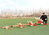 free shipping chinese dragon kite flying handle line traditional kite eagle kite outdoor game toys for adults professional kites