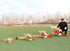 free shipping dragon kite flying Chinese kites toys traditional kite eagle kite outdoor game adults professional kites factory