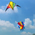 free shipping large rainbow kite nylon windsocks kites toy for kids fly parachute kites butterfly volantines paper dragon kite