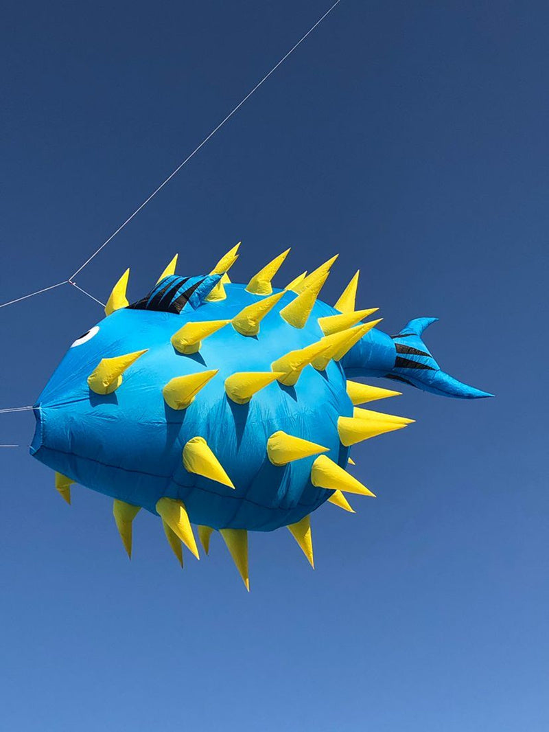 free shipping puffer fish kite pendant flying outdoor toys wind kites for adults kite reel voar pipe parachute windsurf Smoking