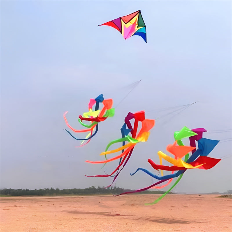 free shipping high quality 6m rainbow windsock kite flying large kites adult kite reel ripstop nylon kite wind kites bat kites