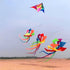 free shipping high quality 6m rainbow windsock kite flying large kites adult kite reel ripstop nylon kite wind kites bat kites