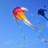 free shipping sea monster kite flying outdoor fun toys fish kites buggy kite board hobbies kite fabric giant kites kevlar line