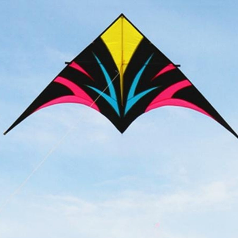 free shipping large delta kites flying for adults kites reel professional wind kites factory pocket kite sports toys Eagle kite