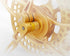 free shipping 30cm large new kite reel for adult kites flying professional kite wheel octopus kite string kitesurfing equipment
