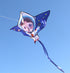 free shipping new kite flying children kite string outdoor toys kite buggy cartoon kite for kids kites ripstop high school kites
