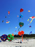 free shipping large leaves kite flying outdoor soft kite nylon fabric pendant windsock kite factory watermelon kite adults kites
