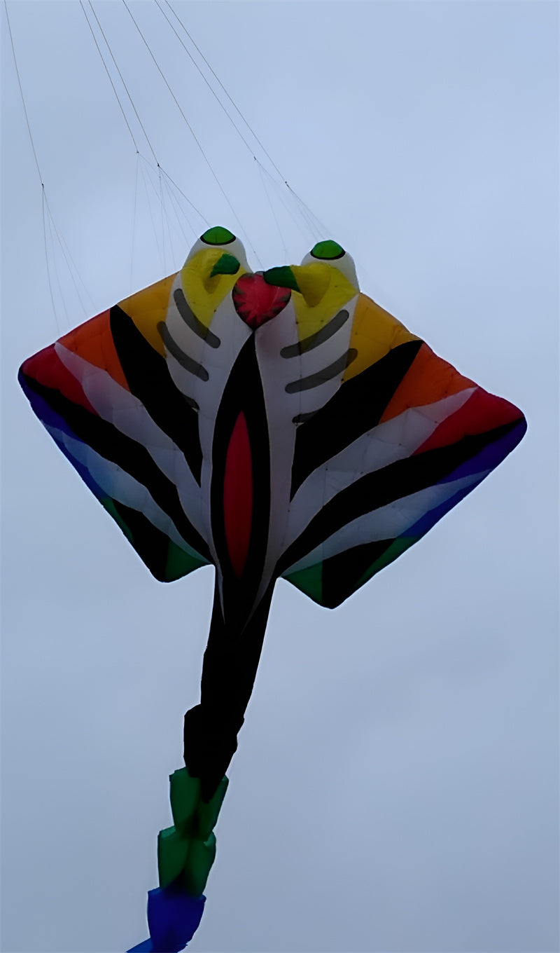 free shipping large kite flying 15m ray fish kite for adults kite devil fish folding kite buggy flynova pro snake kite winder