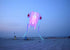 Free Shipping led kites flying for adults kites led octopus kites jellyfish kites goldfish kites trilobites kites inflatable