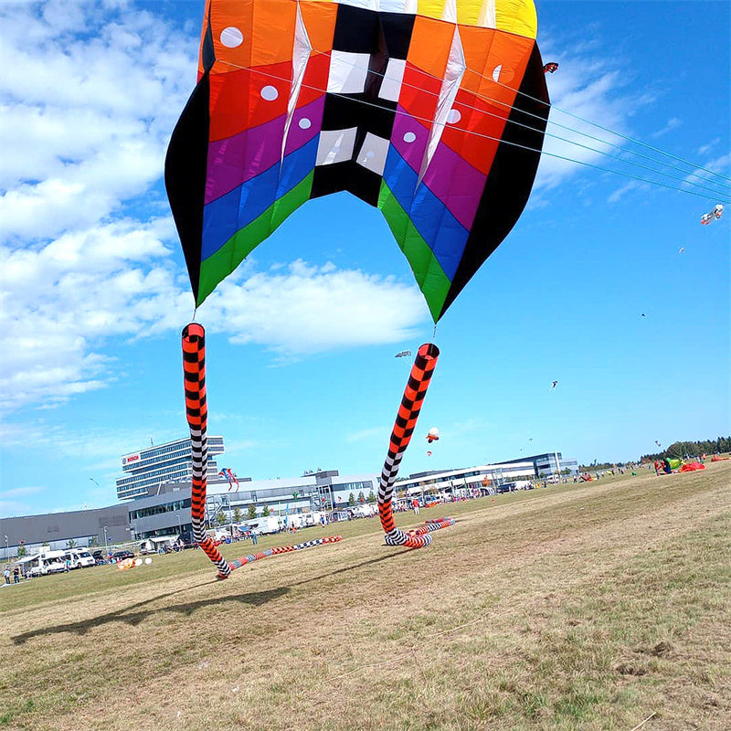 Flow Forms Pilot Lifter Kite 6㎡~12㎡ Large Single Line Parafoil Kite Line Laundry Soft Inflatable Kite 30D Ripstop Nylon with Bag