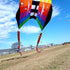 Flow Forms Pilot Lifter Kite 6㎡~12㎡ Large Single Line Parafoil Kite Line Laundry Soft Inflatable Kite 30D Ripstop Nylon with Bag