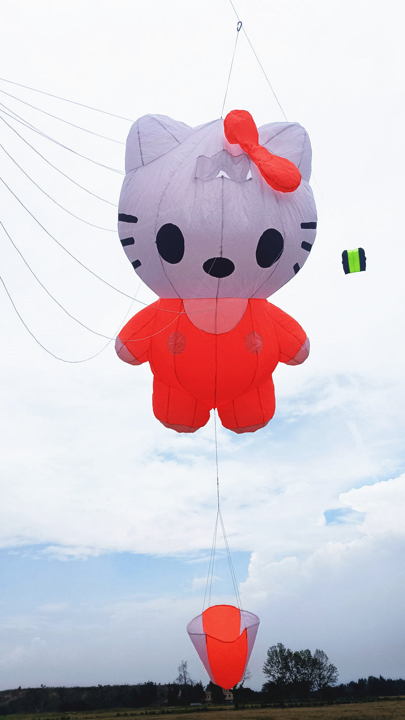 Free Shipping inflatable kite pendant flying soft kite windsocks kites show kites factory professional wind kites pilot kite