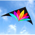 free shipping 2m large rainbow delta kite with 10m tails flying line kids kites factory delta kites windsocks kite string reel