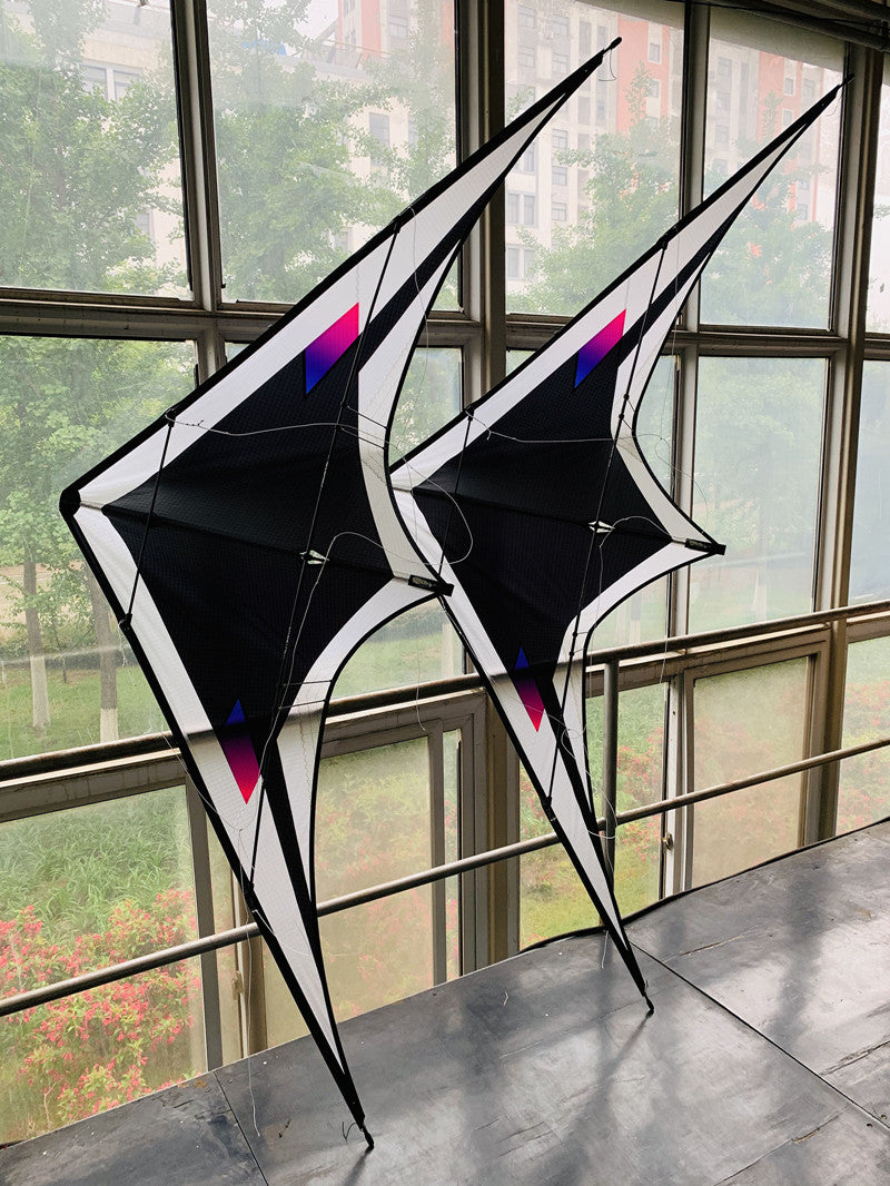 free shipping Black Feather 240cm dual line stunt kite Freilein kite factory outdoor koi paraglider professional wind kites