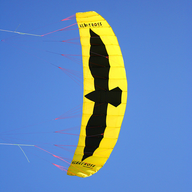 free shipping 5sqm large quad line power kite for adults kite parafoil board kite surfing cometa parachute cometas infantiles