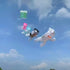 Free Shipping giant kites flying inflatable kites dog kite pendant soft kite 3d kites cometa espantapajaros de aves kitesurf