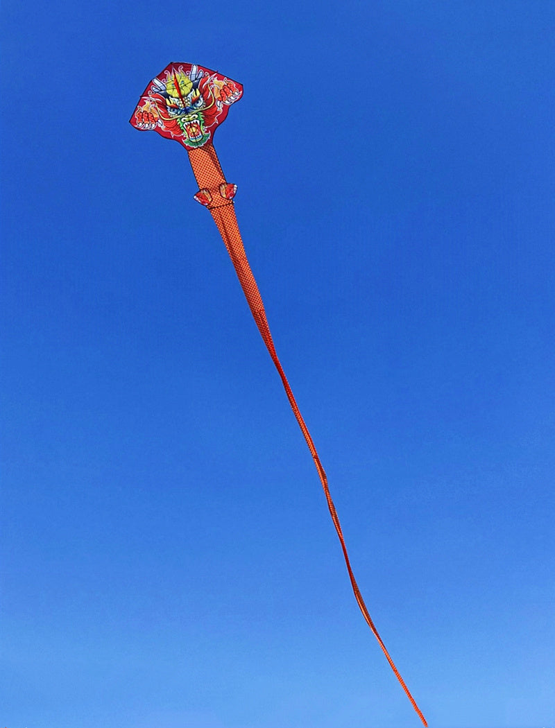 free shipping 100m chinese dragon kite flying handle line large kite snake kites for kids cometas paragliding windsurf