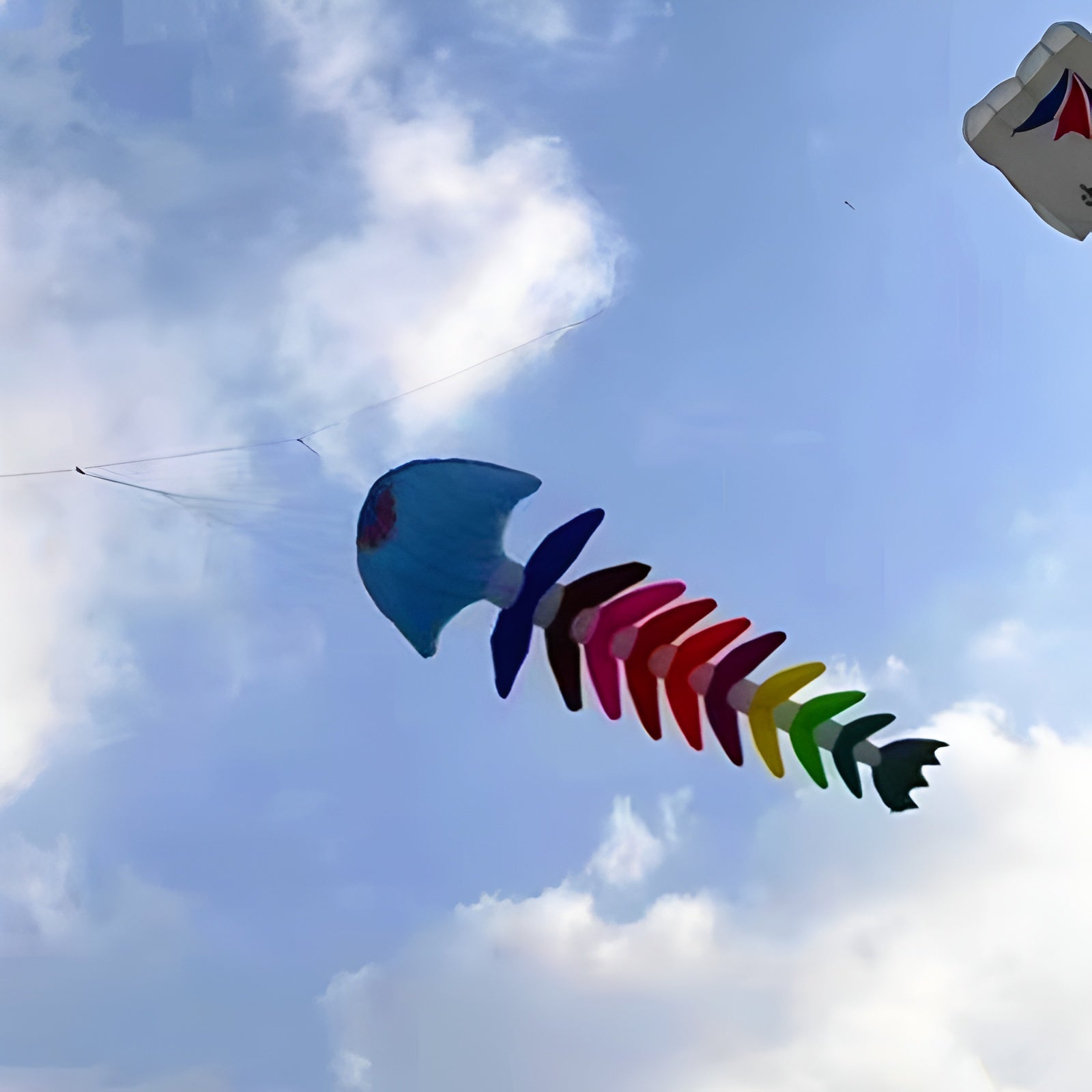 Free shipping fishbone soft kites pendant flying fish kites for adults inflatable show kites cometas de viento wind sock