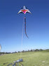 free shipping 3d kites windsocks Prick ball kites flying toys for kids kite large kite tails rainbow kite professional wind kite