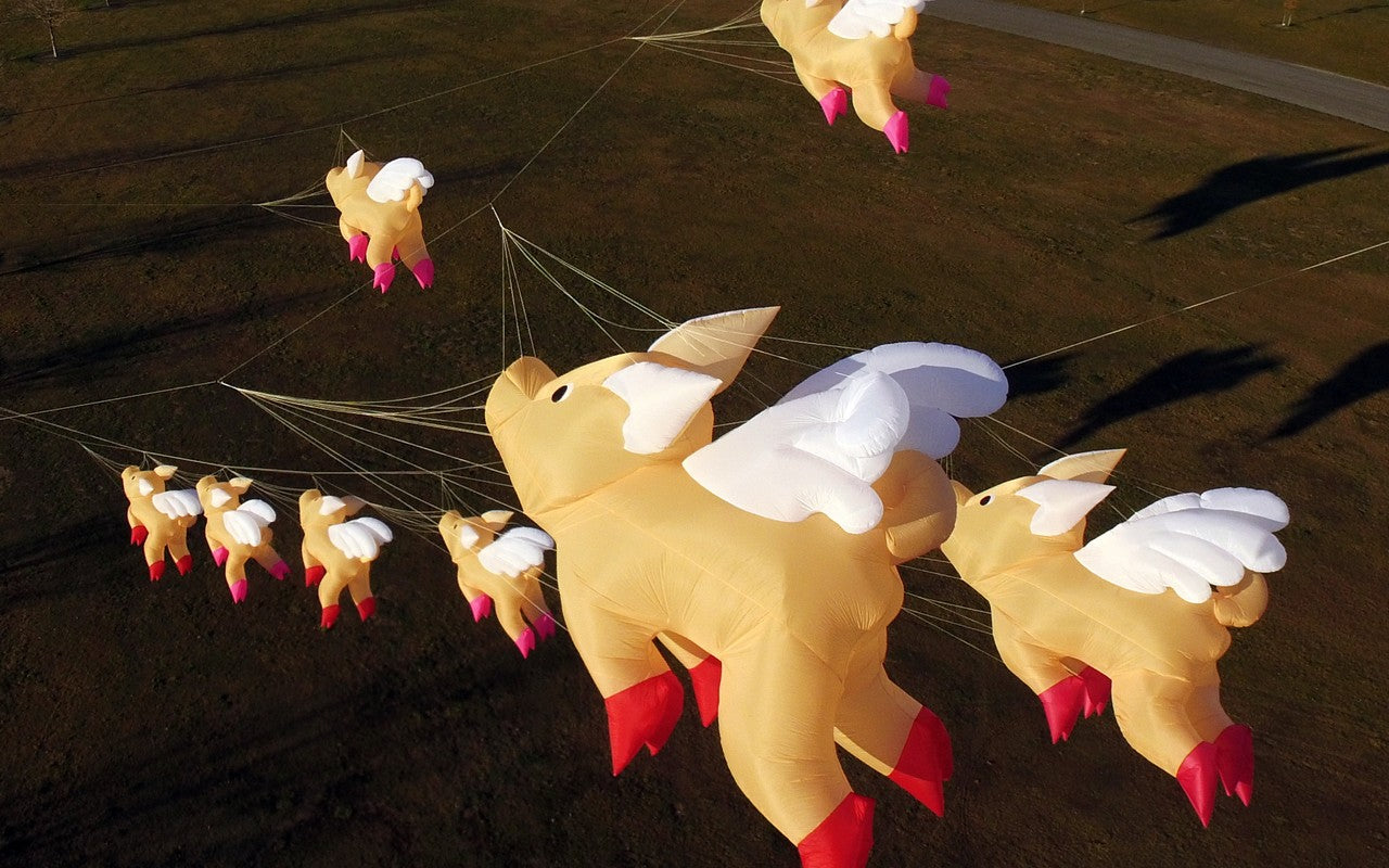 Free Shipping 3m Pig Kite Line Laundry Pendant Soft Inflatable Show Kite for Kite Festival 30D Ripstop Nylon with Bag