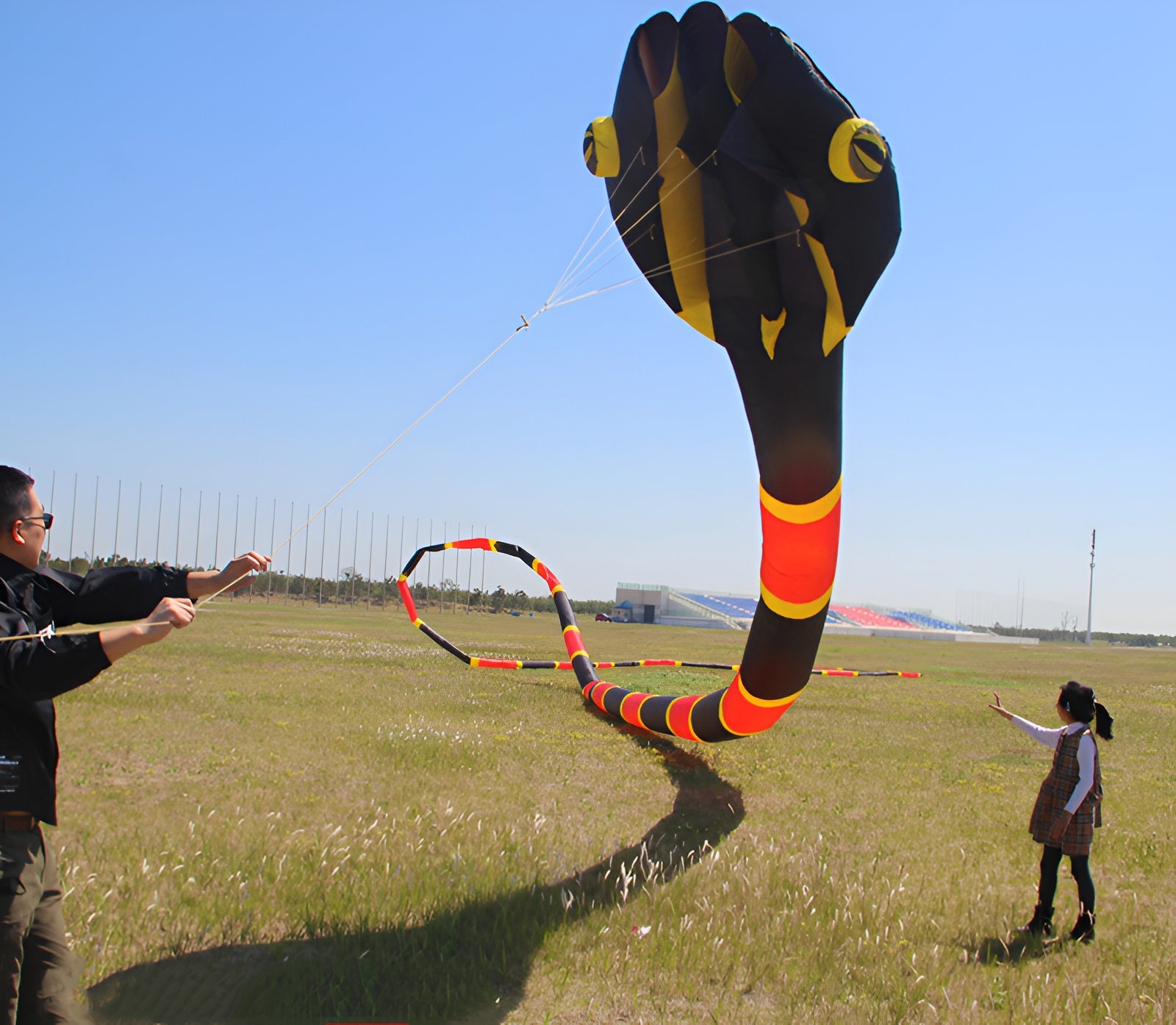 Free shipping snake soft kites professional kites for adults kite flying steering kites inflatable kite large kite flying kevlar
