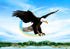 free shipping new eagle kite flying string line for kids kite factory outdoot sports games toys for children kites bird kite koi