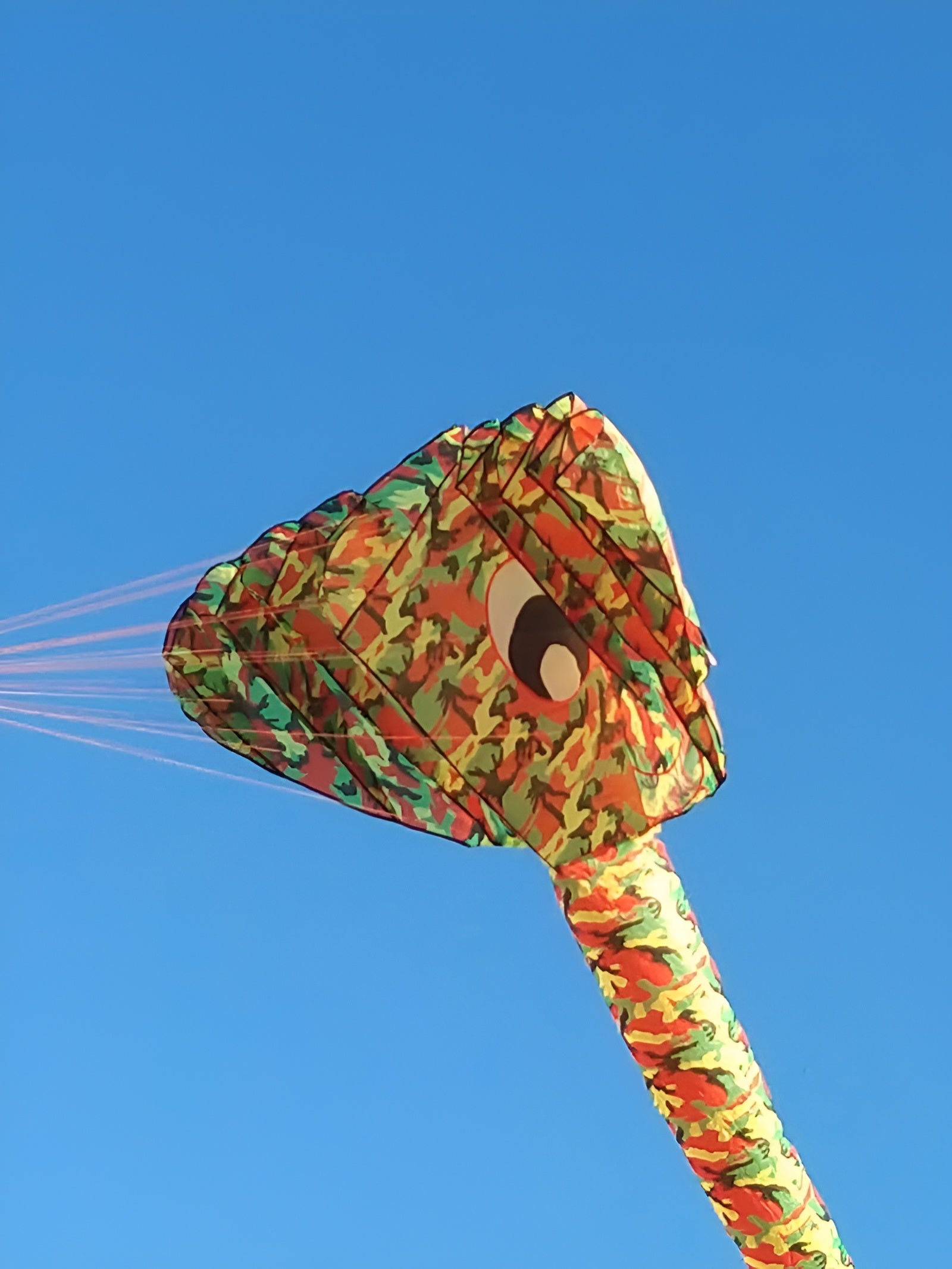 free shipping elephant kite flying toys for kids kitesurf equipment whale kite flying parrot dual line kite winding machine