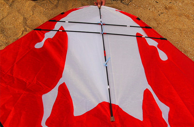 free shipping large soft kite scorpion kite line animated kites flying bird inflatable kite Outdoor game profession kite eaglas