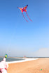 free shipping butterfly kites flying for kids kites nylon kites factory professional winds kites recreational reel flying fairy