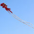 New 3D Boneless Kite for Big Goldfish Adults is a Large High End Three Dimensional Soft Kite That Is Easy to Fly